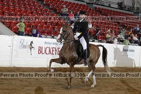 Proof 10buck_3395