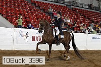 10buck_3396 proof