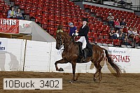 10buck_3402 proof