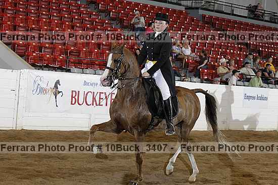 Proof 10buck_3407