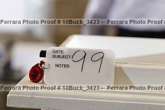 Proof 10buck_3423