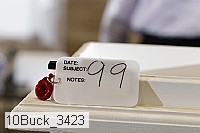 10buck_3423 proof