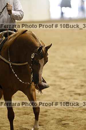 Proof 10buck_3427