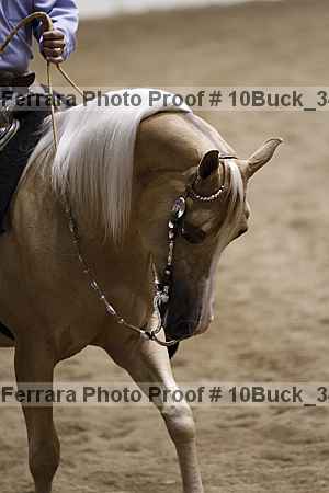 Proof 10buck_3429