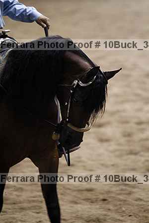 Proof 10buck_3438