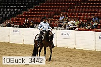 10buck_3442 proof