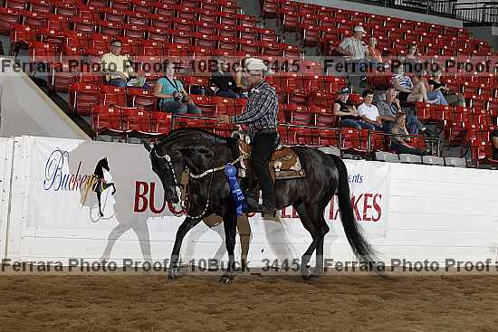 Proof 10buck_3445