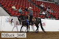 10buck_3445 proof