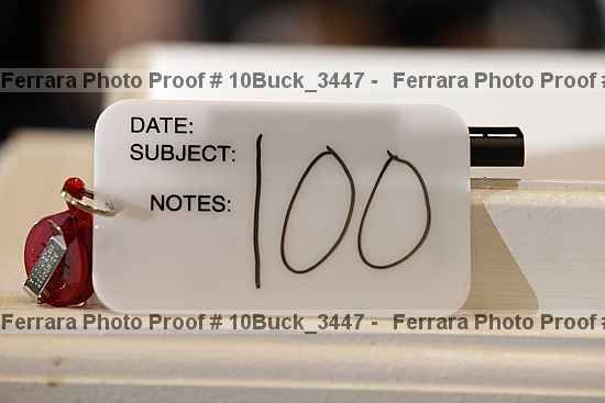 Proof 10buck_3447