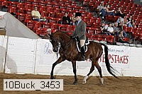 10buck_3453 proof
