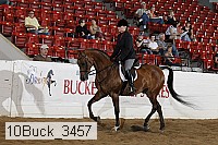 10buck_3457 proof