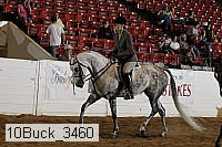 10buck_3460 proof