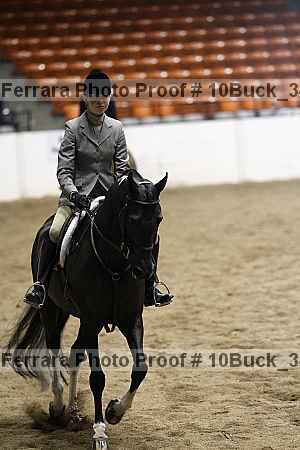 Proof 10buck_3461