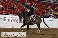 10buck_3463 proof