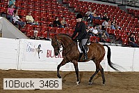 10buck_3466 proof