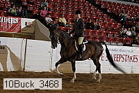 10buck_3468 proof