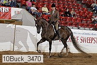 10buck_3470 proof