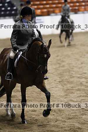Proof 10buck_3471