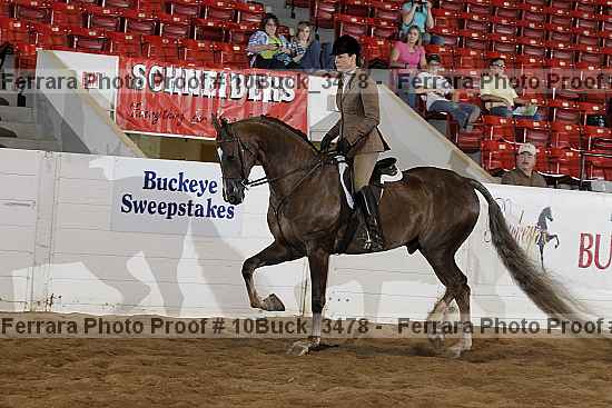 Proof 10buck_3478