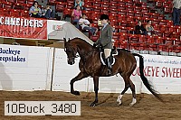 10buck_3480 proof