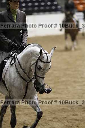 Proof 10buck_3481