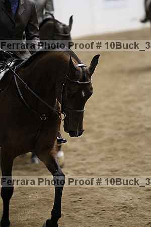 Proof 10buck_3482