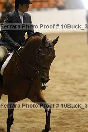 Proof 10buck_3483