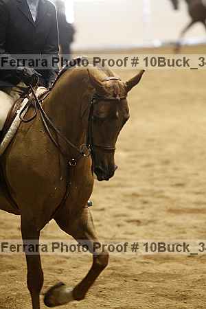 Proof 10buck_3484