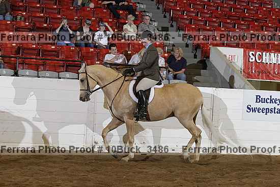 Proof 10buck_3486