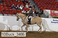 10buck_3486 proof