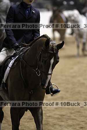 Proof 10buck_3487