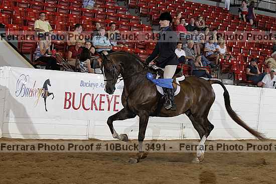 Proof 10buck_3491