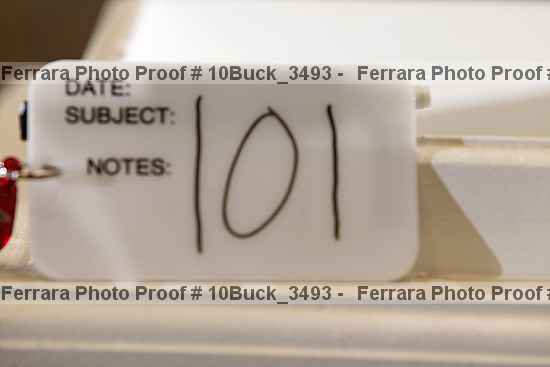 Proof 10buck_3493