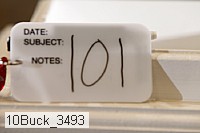 10buck_3493 proof