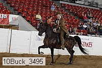 10buck_3495 proof