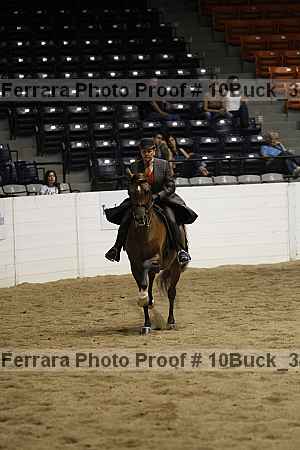 Proof 10buck_3496