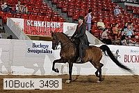 10buck_3498 proof