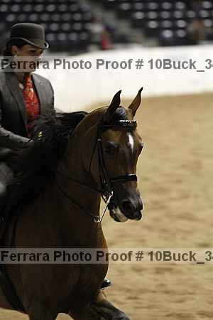 Proof 10buck_3499