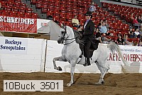 10buck_3501 proof