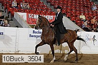 10buck_3504 proof