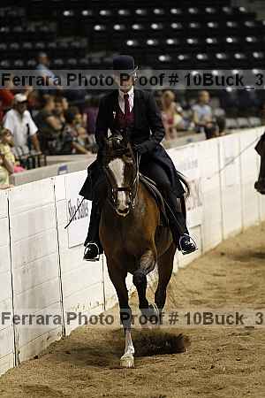 Proof 10buck_3507