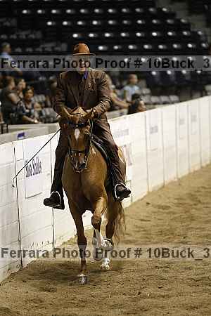 Proof 10buck_3510
