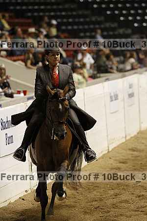 Proof 10buck_3515