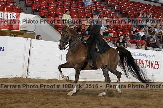Proof 10buck_3516
