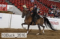 10buck_3516 proof