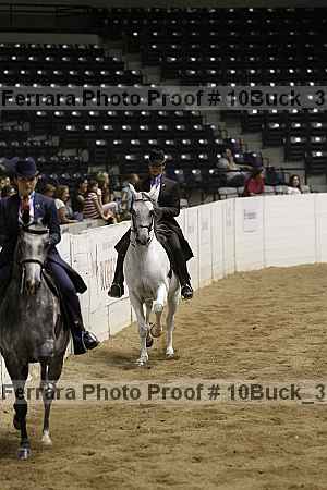 Proof 10buck_3519
