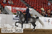 10buck_3520 proof