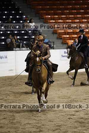 Proof 10buck_3521