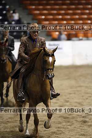 Proof 10buck_3523