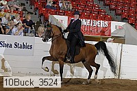 10buck_3524 proof
